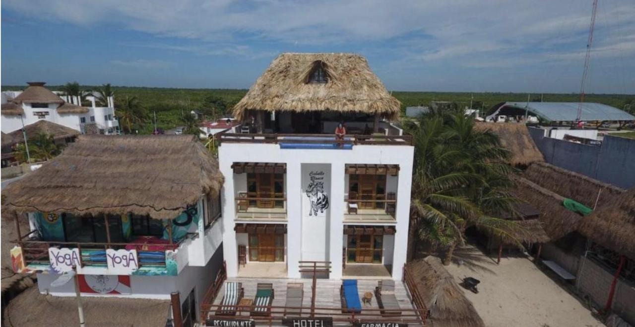 Hotel EL CABALLO BLANCO Mahahual Exterior foto